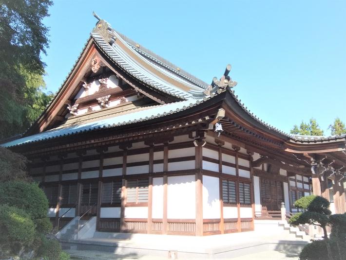 技能の紹介