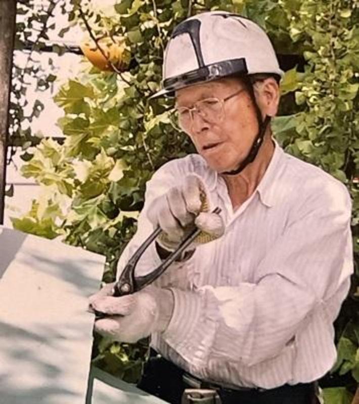技能の紹介